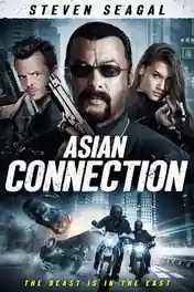 The Asian Connection 2016 BluRay Hindi Dual Audio Full Movie Download 720p | 480p poster | Bolly4u Official