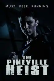 The Pineville Heist 2016 WEB-DL 270MB Hindi Dual Audio 480p poster | Bolly4u Official