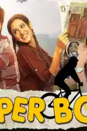 Paper Boy 2019 HDRip 300Mb Hindi Dubbed 480p poster | Bolly4u Official