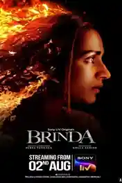 Brinda 2024 WEB-DL Hindi S01 Complete Download 720p | 480p poster | Bolly4u Official