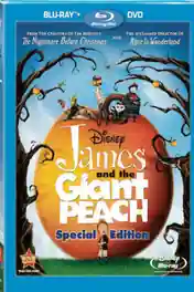James And The Giant Peach 1996 BRRip 750Mb Hindi Dual Audio 720p poster | Bolly4u Official