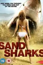 Sand Sharks 2012 BluRay 650Mb Hindi Dual Audio 720p poster | Bolly4u Official
