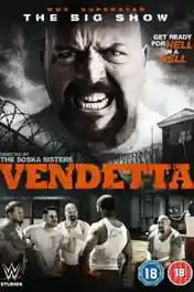 Vendetta 2015 BRRip Hindi Dual Audio Full Movie Download 720p | 480p poster | Bolly4u Official