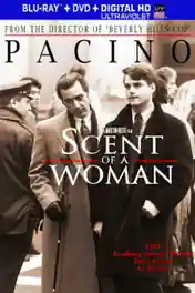 Scent of A Woman 1992 BRRip 500Mb Hindi Dual Audio 480p poster | Bolly4u Official