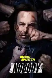 Nobody 2021 WEB-DL 300MB Hindi HQ Dual Audio 480p poster | Bolly4u Official