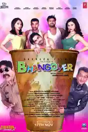 Journey Of Bhangover 2017 DTHRip 750MB Full Hindi Movie Download 720p poster | Bolly4u Official