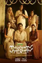 Nagendrans Honeymoons 2024 WEB-DL Hindi S01 Complete Download 720p | 480p poster | Bolly4u Official