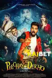 Peechay Tou Dekho 2022 Pre DVDRip Urdu Movie 1080p | 720p | 480p Download poster | Bolly4u Official