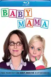 Baby Mama 2008 BluRay 300MB Hindi Dual Audio 480p ESub poster | Bolly4u Official