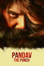 Pandav The Punch 2020 HDRip 300Mb Hindi Dubbed 480p poster | Bolly4u Official