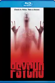 Psycho 1998 BRRip 300MB Hindi Dual Audio 480p poster | Bolly4u Official