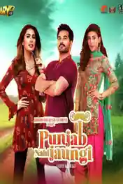 Punjab Nahi Jaungi 2017 HDTV 700MB Pakistani Urdu x264 poster | Bolly4u Official