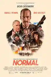 Normal 2025 CAMRIP Hindi Full Movie Download 1080p poster | Bolly4u Official