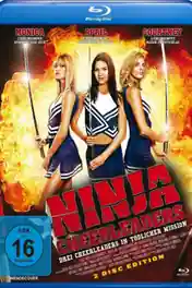Ninja Cheerleaders 2008 BRRip 300MB Hindi Dual Audio 480p poster | Bolly4u Official