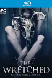 The Wretched 2019 BRRip 750Mb Hindi Dual Audio ORG 720p poster | Bolly4u Official