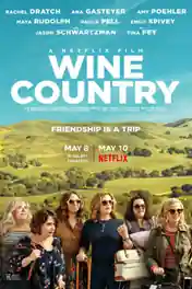 Wine Country 2019 BRRip 999MB Hindi Dual Audio ORG 720p poster | Bolly4u Official