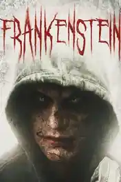 Frankenstein 2015 BluRay Hindi Dual Audio 720p 480p Download poster | Bolly4u Official