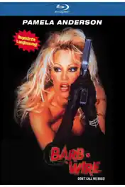 Barb Wire 1996 BluRay 300Mb Hindi Dual Audio 480p poster | Bolly4u Official