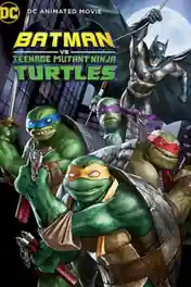 Batman vs Teenage Mutant Ninja Turtles 2019 WEB-DL 300MB English 480p ESub poster | Bolly4u Official