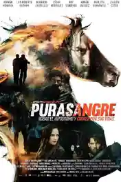 Purasangre 2016 BluRay Hindi Dual Audio Full Movie 720p 480p Download poster | Bolly4u Official