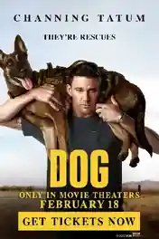 Dog 2022 WEB-DL Hindi Dual Audio ORG 720p 480p Download poster | Bolly4u Official