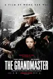 The Grandmaster 2013 WEB-DL Hindi Dual Audio ORG Full Movie Download 1080p | 720p | 480p poster | Bolly4u Official