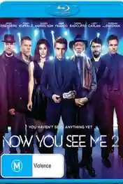 Now You See Me 2 2016 BluRay 999MB Hindi Dual Audio 720p ESub poster | Bolly4u Official