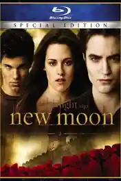 The Twilight Saga New Moon 2009 BRRip 1GB Hindi Dual Audio 720p poster | Bolly4u Official