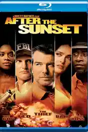 After The Sunset 2004 BluRay 300Mb Hindi Dual Audio 480p poster | Bolly4u Official