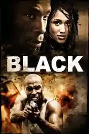 Black 2009 BluRay 400MB Hindi Dual Audio 480p poster | Bolly4u Official
