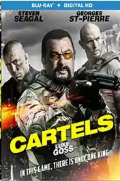 Cartels 2017 BluRay 300MB Hindi Dual Audio 480p poster | Bolly4u Official