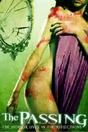 The Passing 2011 WEB-DL 950MB UNRATED Hindi Dual Audio 720p poster | Bolly4u Official