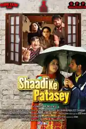 Shaadi Ke Patasey 2019 WEB-DL 270Mb Hindi Movie Download 480p poster | Bolly4u Official