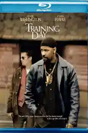 Training Day 2001 BRRip 350Mb Hindi Dual Audio 480p ESub poster | Bolly4u Official
