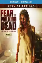 Fear The Walking Dead 2015 WEB-DL Hindi Dual Audio ORG S01 Complete Download 720p | 480p poster | Bolly4u Official