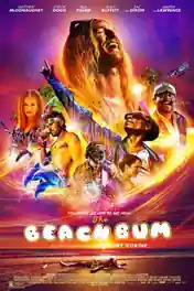 The Beach Bum 2019 WEB-DL 300MB English 480p poster | Bolly4u Official