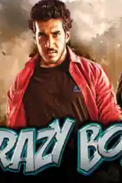 Crazy Boy 2019 HDRip 750MB Hindi Dubbed 720p poster | Bolly4u Official