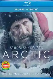 Arctic 2018 BRRip 300MB English 480p ESub poster | Bolly4u Official