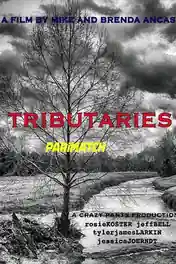 Tributaries 2021 WEB-HD Hindi (Voice Over) Dual Audio 720p poster | Bolly4u Official