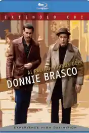Donnie Brasco 1997 BRRip 450Mb Hindi Dual Audio 480p poster | Bolly4u Official