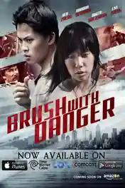 Brush with Danger 2015 WEB-DL Hindi Dual Audio Full Movie Download 720p | 480p poster | Bolly4u Official