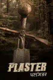 Plaster 2024 WEB-DL Punjabi S01 Complete Download 720p | 480p poster | Bolly4u Official