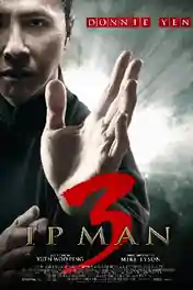 IP Man 3 2015 BluRay 800Mb Hindi Dual Audio 720p poster | Bolly4u Official