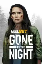 Gone in the Night 2022 WEB-Rip Hindi (Voice Over) Dual Audio 720p poster | Bolly4u Official