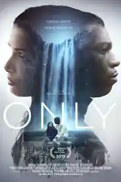 Only 2019 BluRay Hindi Dual Audio Full Movie Download 720p | 480p poster | Bolly4u Official