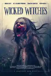 Wicked Witches 2018 HDRip 280MB Hindi Dubbed 480p poster | Bolly4u Official