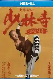 Rising Shaolin The Protector 2021 WEB-DL Hindi Dual Audio Full Movie Download 720p | 480p poster | Bolly4u Official