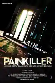 Painkiller 2013 WEB-DL 250MB Hindi Dual Audio 480p ESub poster | Bolly4u Official