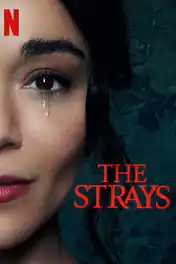 The Strays 2023 WEB-DL Hindi Dual Audio ORG Full Movie Download 1080p | 720p | 480p poster | Bolly4u Official