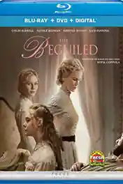The Beguiled 2017 BRRip 750Mb Hindi Dual Audio 720p ESub poster | Bolly4u Official